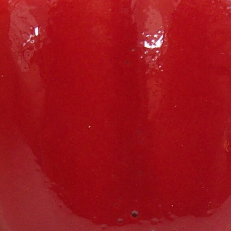 Mini bonsai 4 x 4 x 2 cm, colore rosso