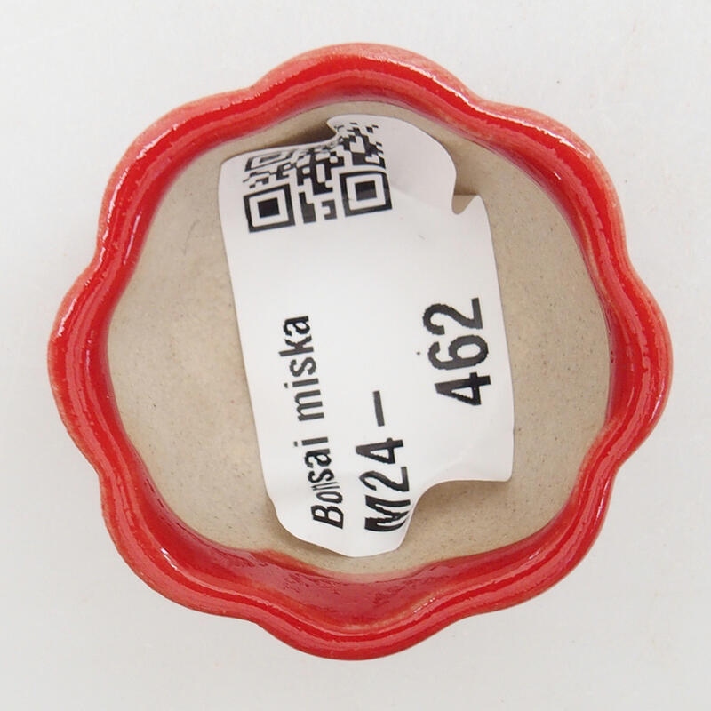 Mini bonsai 4 x 4 x 2 cm, colore rosso