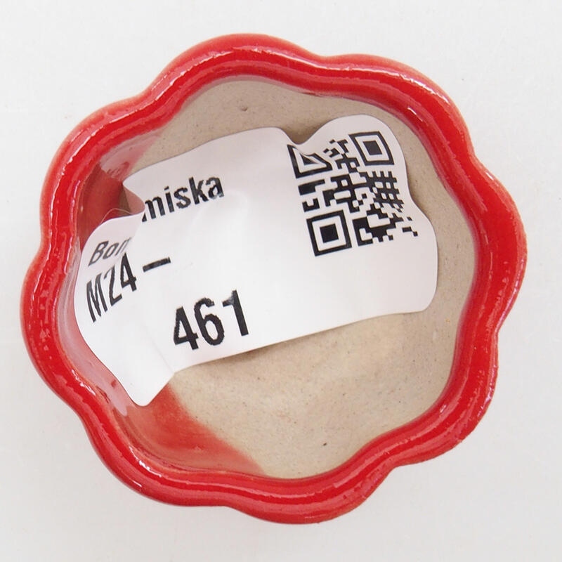 Mini bonsai 4 x 4 x 2 cm, colore rosso