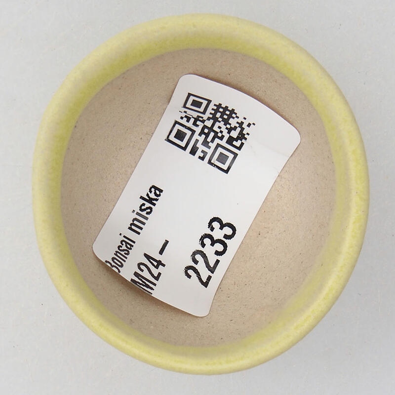 Mini bonsai 4 x 4 x 2 cm, giallo