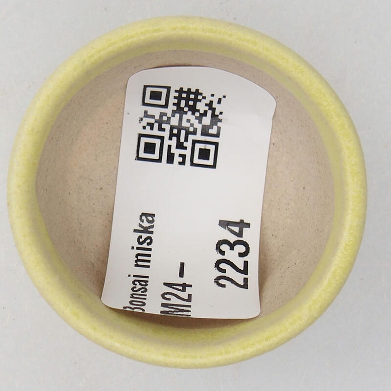 Mini bonsai 4 x 4 x 2 cm, giallo