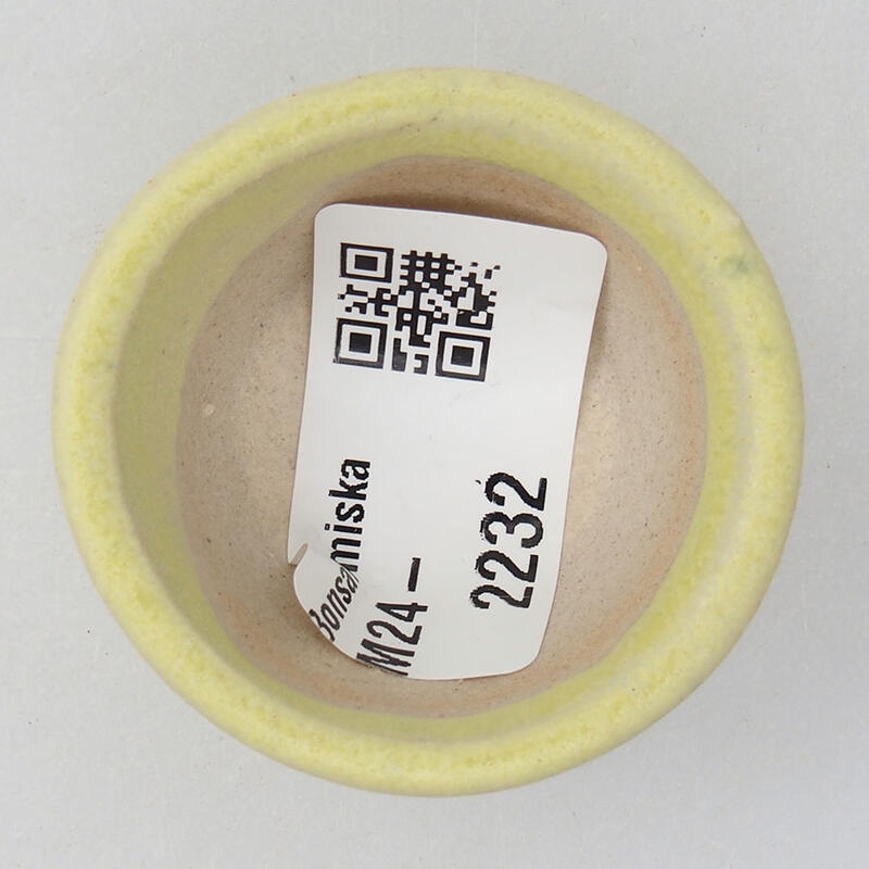 Mini bonsai 4 x 4 x 2 cm, giallo