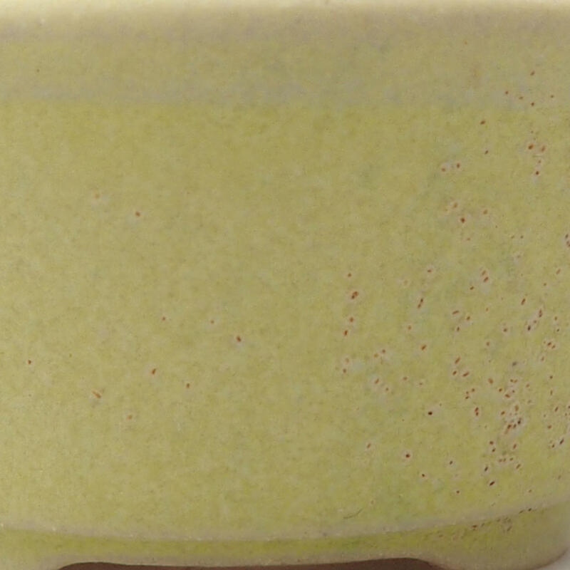 Mini bonsai 4 x 4 x 2 cm, giallo