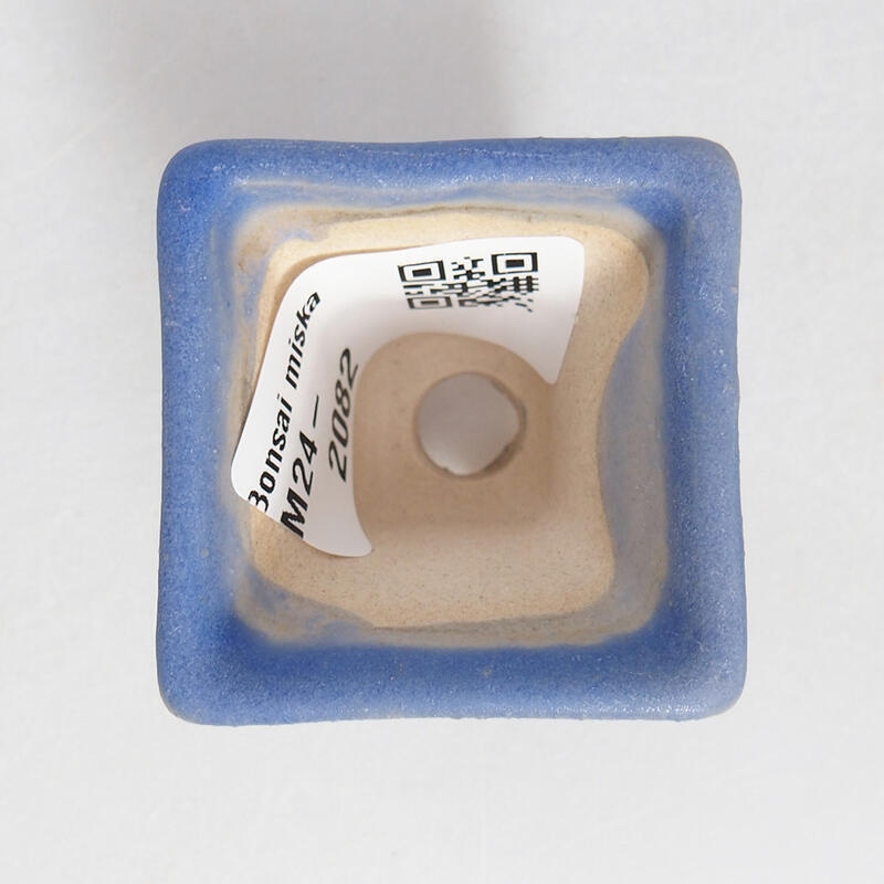 Mini bonsai 4 x 4 x 3,5 cm, colore blu