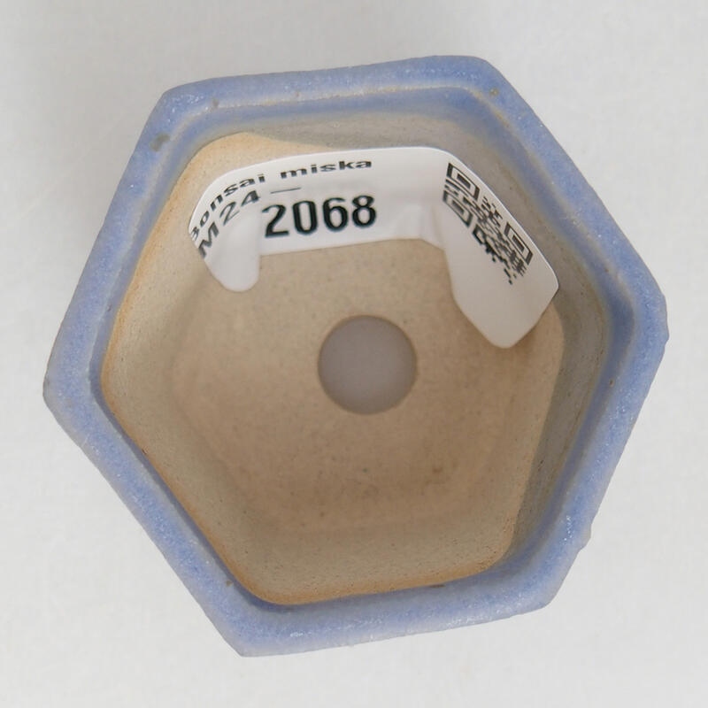 Mini bonsai 4 x 4 x 3,5 cm, colore blu