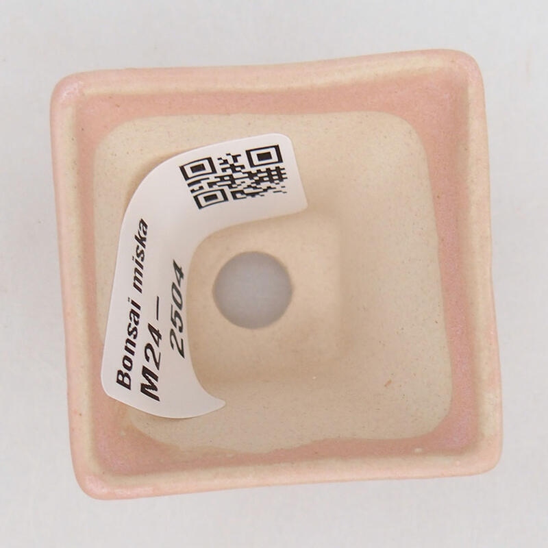 Ciotola per mini bonsai 4 x 4 x 3,5 cm, rosa