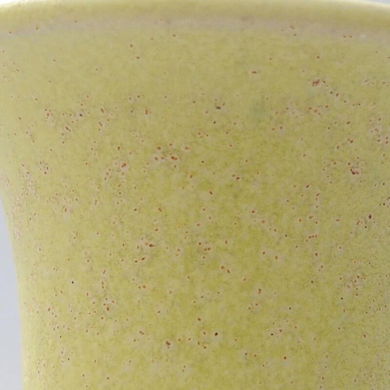 Mini bonsai 4 x 4 x 3,5 cm, giallo