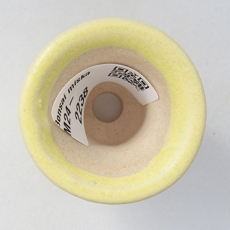 Mini bonsai 4 x 4 x 3,5 cm, giallo