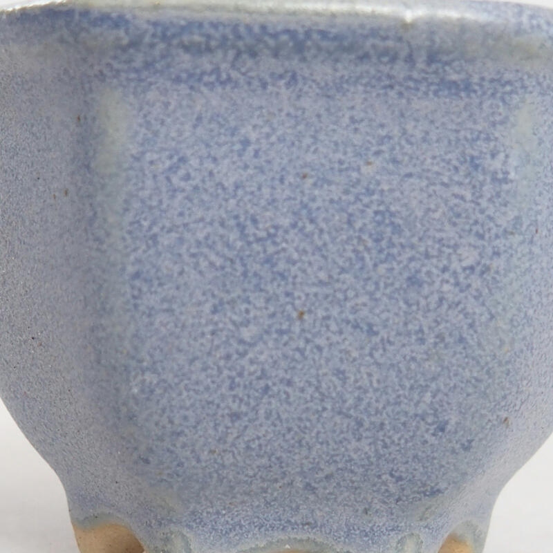 Mini bonsai 4 x 4 x 3 cm, blu