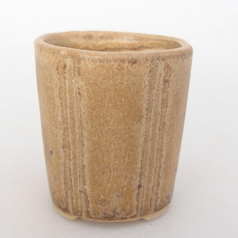 Mini bonsai 4 x 4 x 4,5 cm, marrone