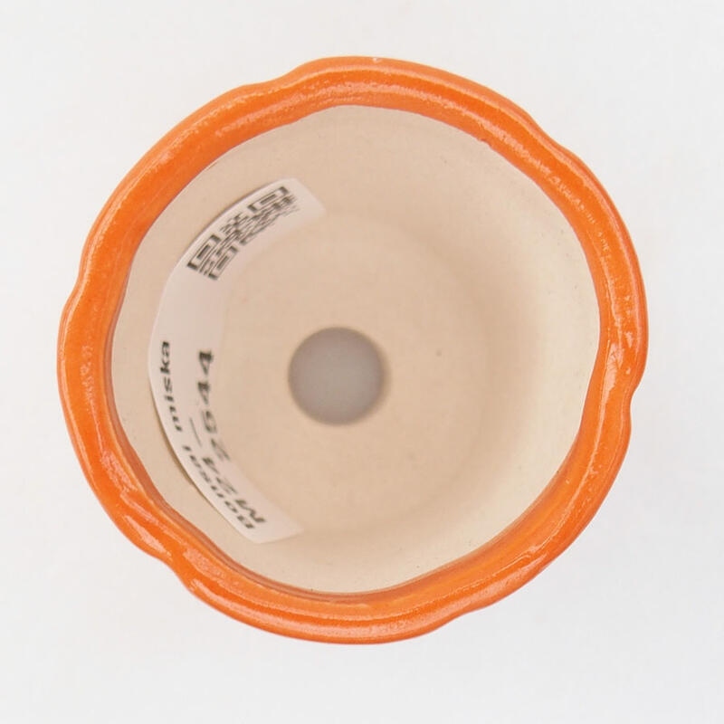 Ciotola per mini bonsai 4 x 4 x 4,5 cm, arancione