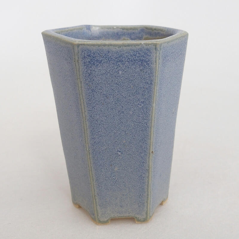 Mini bonsai 4 x 4 x 5,5 cm, colore blu