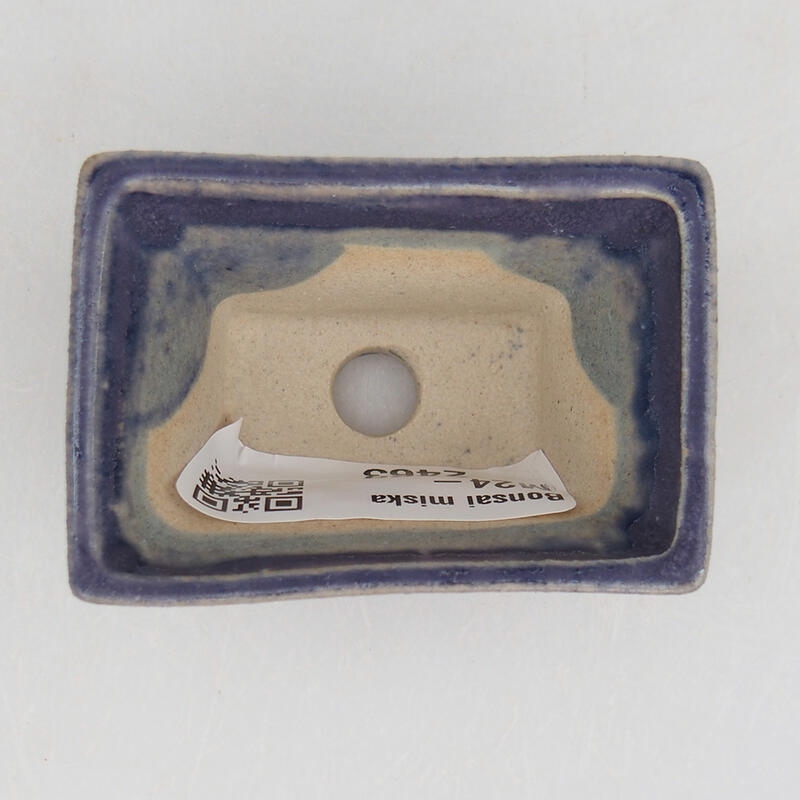 Mini bonsai 5,5 x 3,5 x 3 cm, colore viola