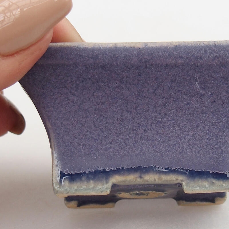 Mini bonsai 5,5 x 3,5 x 3 cm, colore viola