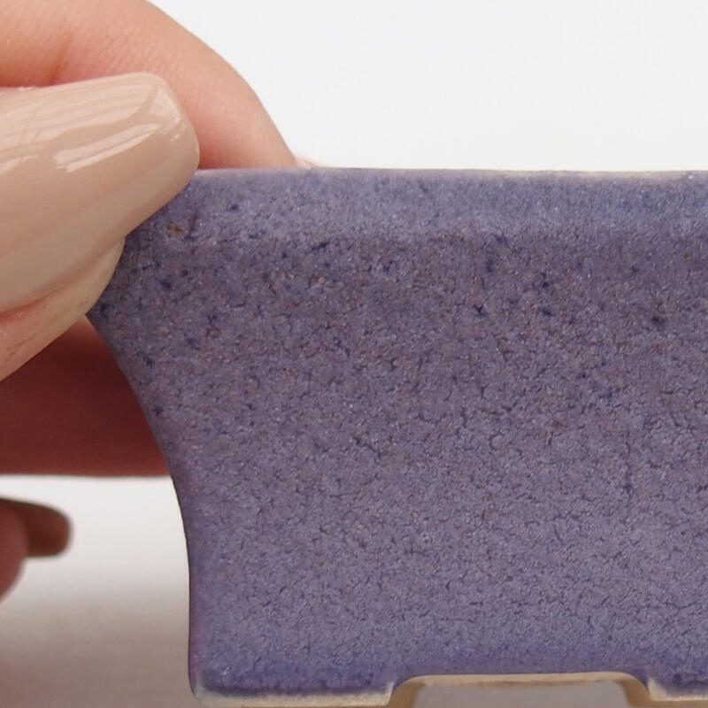 Mini bonsai 5,5 x 3,5 x 3 cm, colore viola