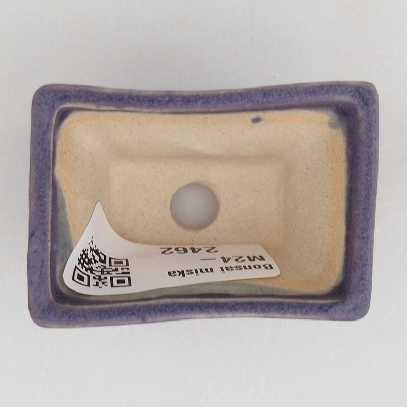 Mini bonsai 5,5 x 3,5 x 3 cm, colore viola