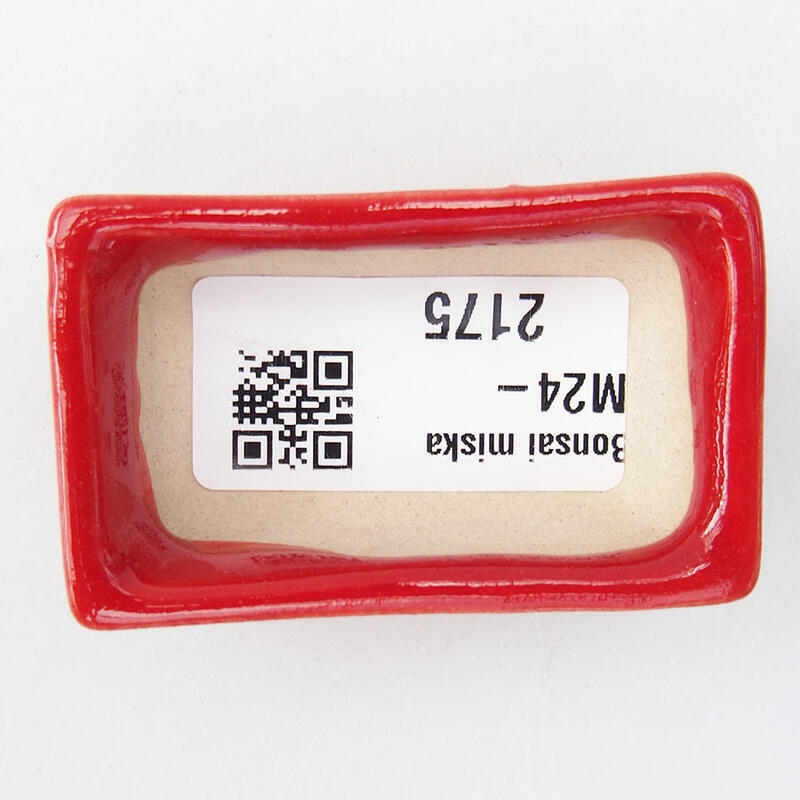 Mini bonsai 5,5 x 3 x 1,5 cm, colore rosso