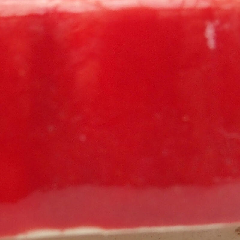 Mini bonsai 5,5 x 3 x 2 cm, colore rosso