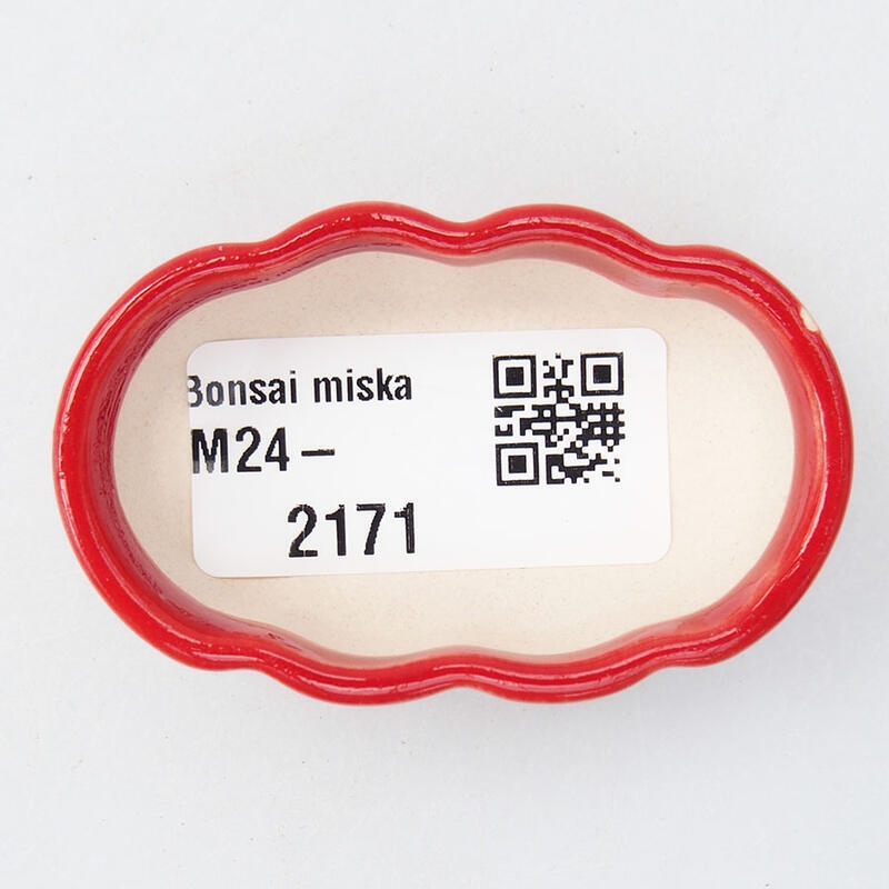 Mini bonsai 5,5 x 3 x 2 cm, colore rosso
