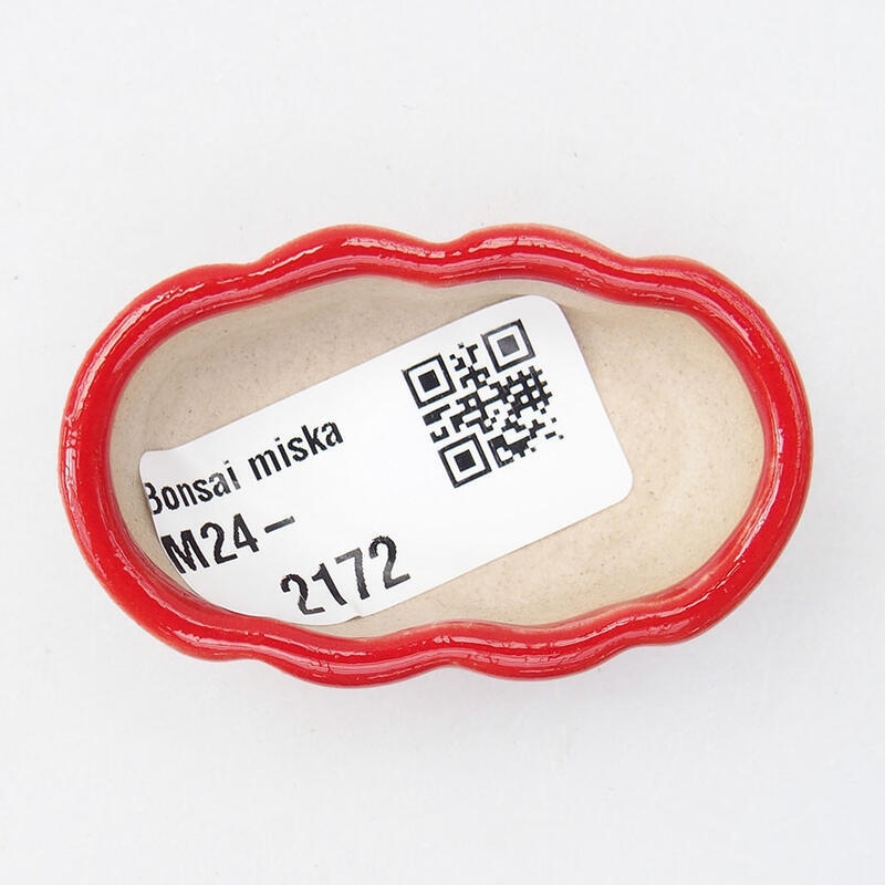 Mini bonsai 5,5 x 3 x 2 cm, colore rosso