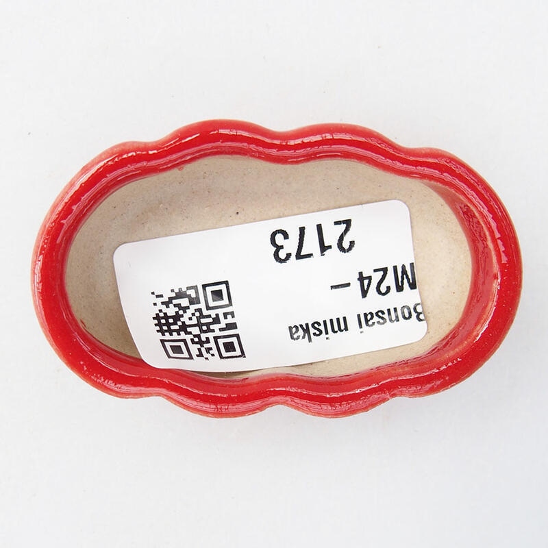 Mini bonsai 5,5 x 3 x 2 cm, colore rosso