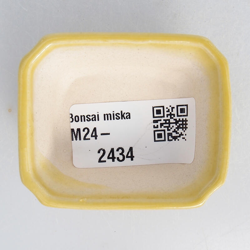 Mini bonsai 5,5 x 4,5 x 2 cm, giallo