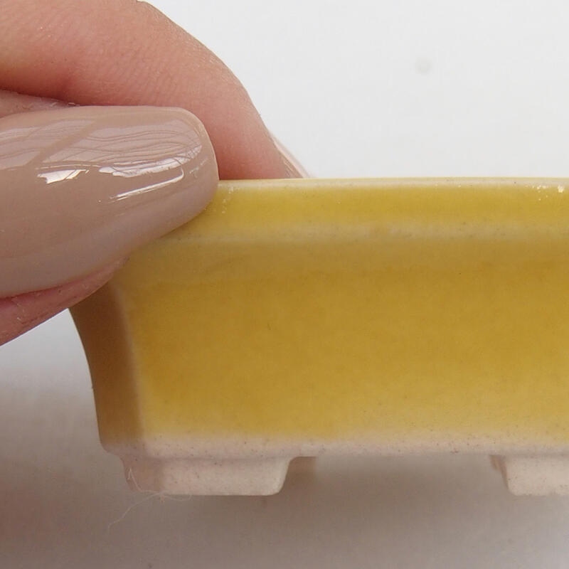 Mini bonsai 5,5 x 4,5 x 2 cm, giallo