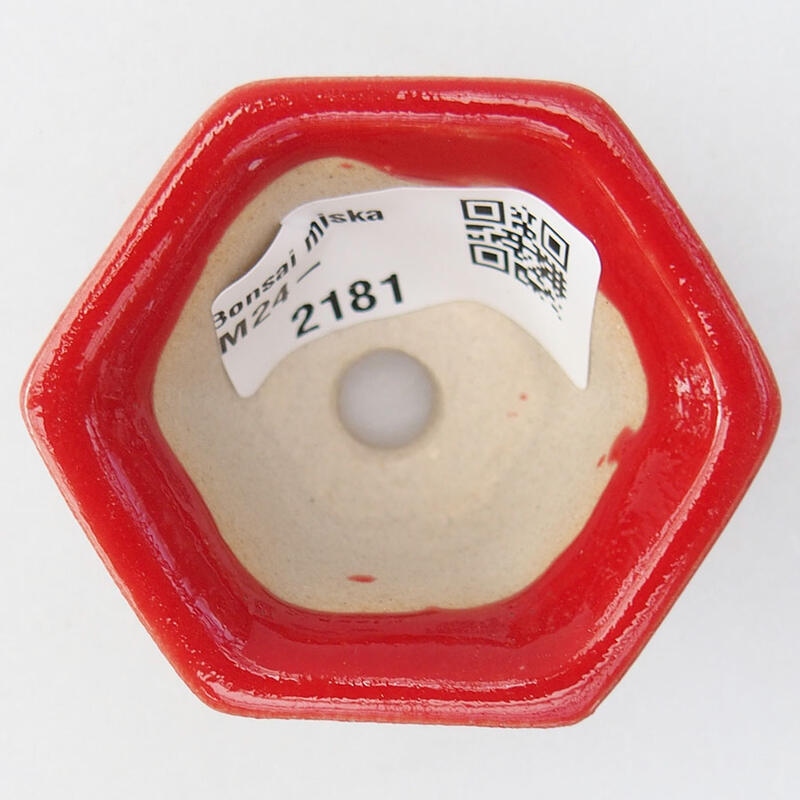 Mini bonsai 5,5 x 4,5 x 3 cm, colore rosso