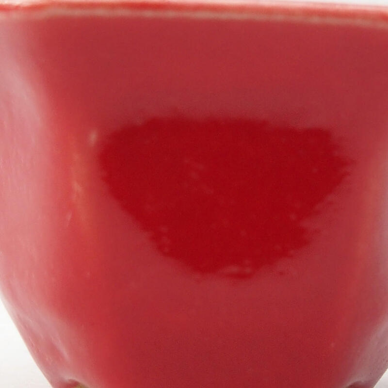 Mini bonsai 5,5 x 4,5 x 3 cm, colore rosso