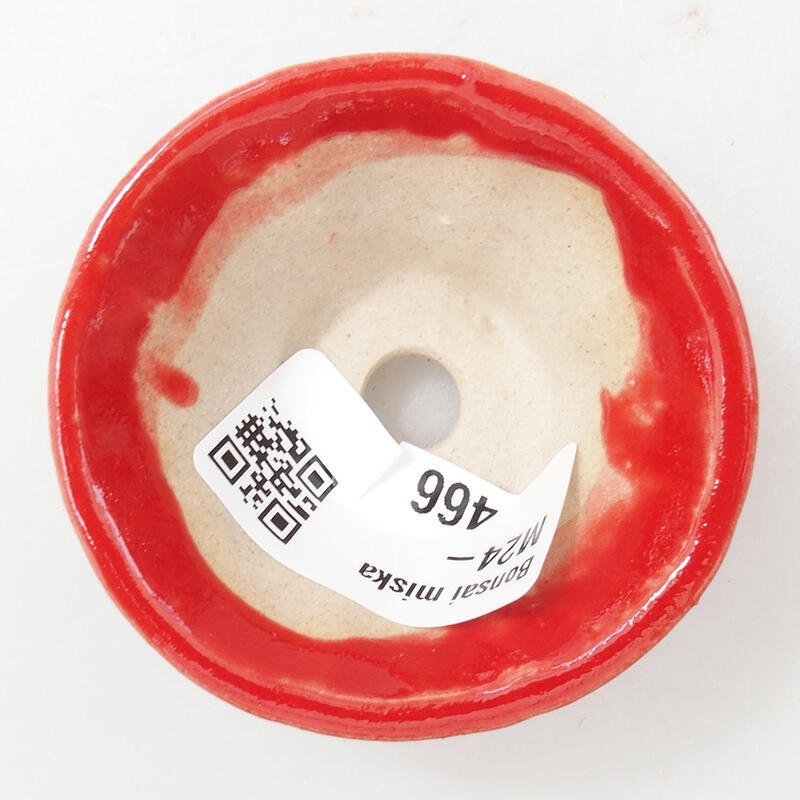 Mini bonsai 5,5 x 5,5 x 2,5 cm, colore rosso