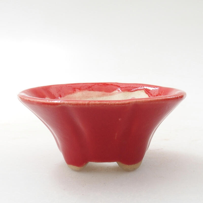 Mini bonsai 5,5 x 5,5 x 2,5 cm, colore rosso