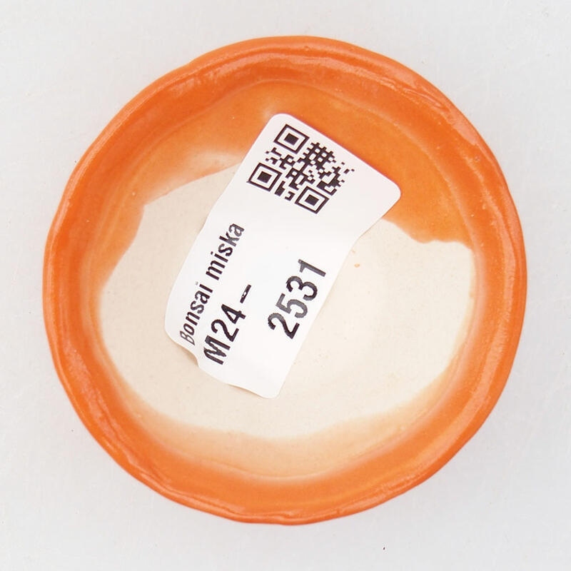 Ciotola per mini bonsai 5,5 x 5,5 x 2,5 cm, arancione