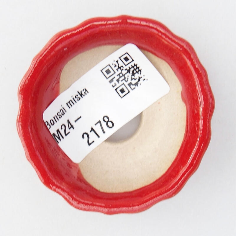 Mini bonsai 5,5 x 5,5 x 2 cm, colore rosso