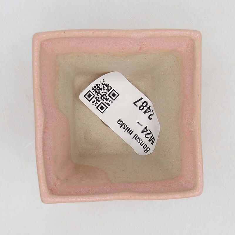 Mini bonsai 5,5 x 5,5 x 3,5 cm, rosa