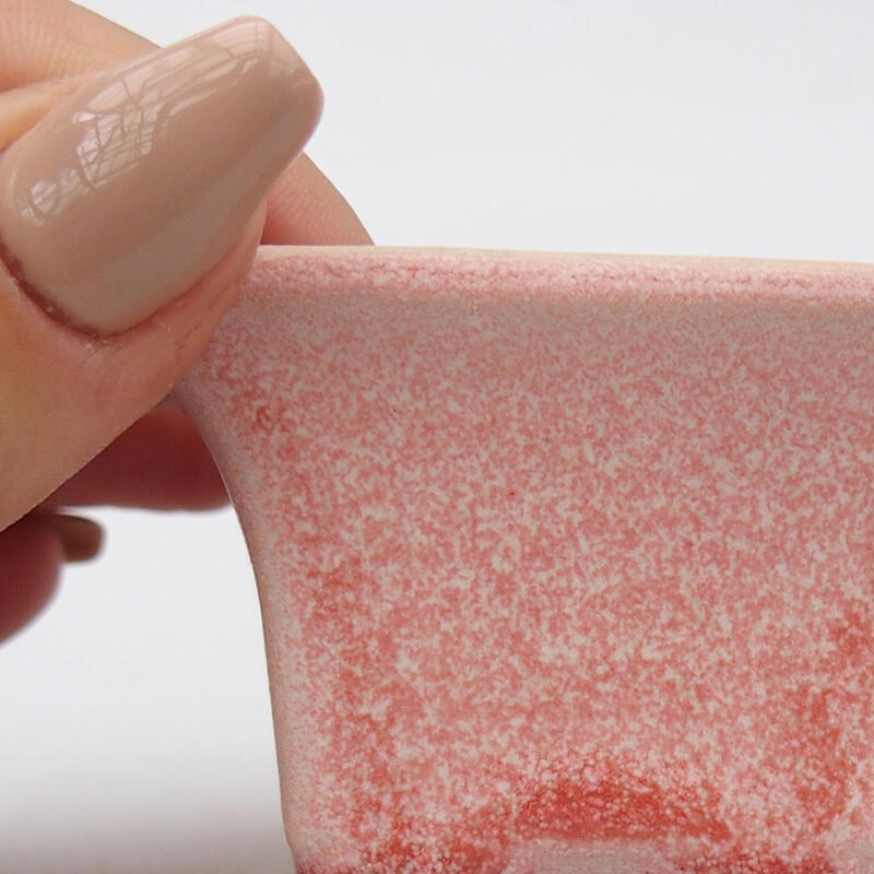 Mini bonsai 5,5 x 5,5 x 3,5 cm, rosa