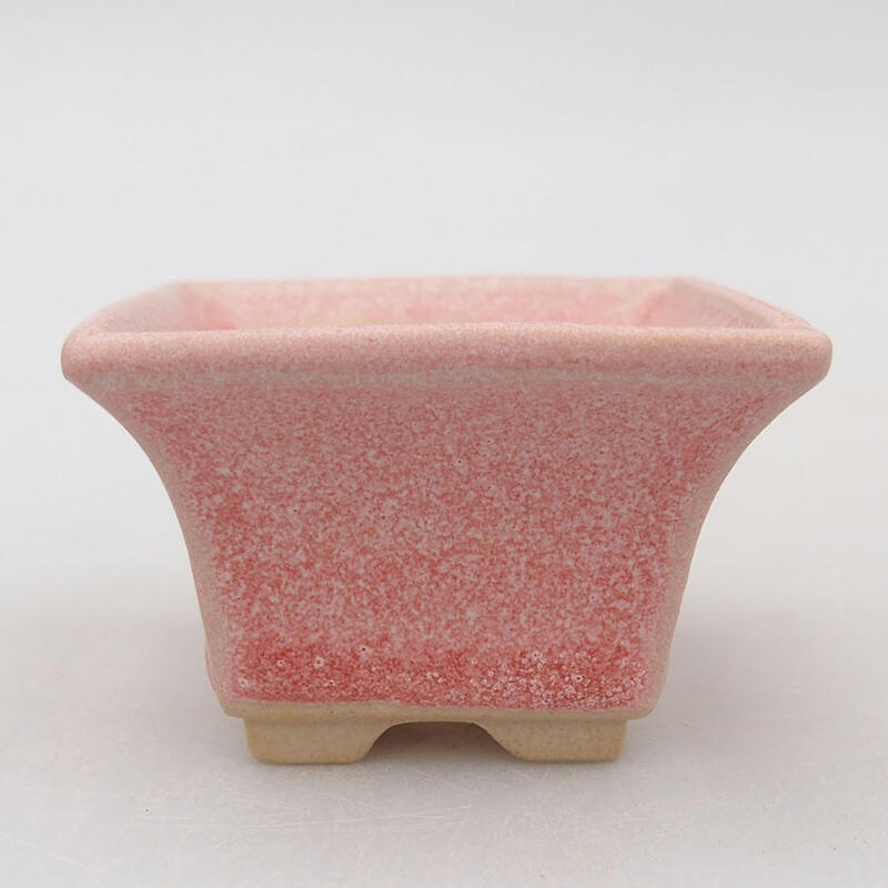 Mini bonsai 5,5 x 5,5 x 3,5 cm, rosa