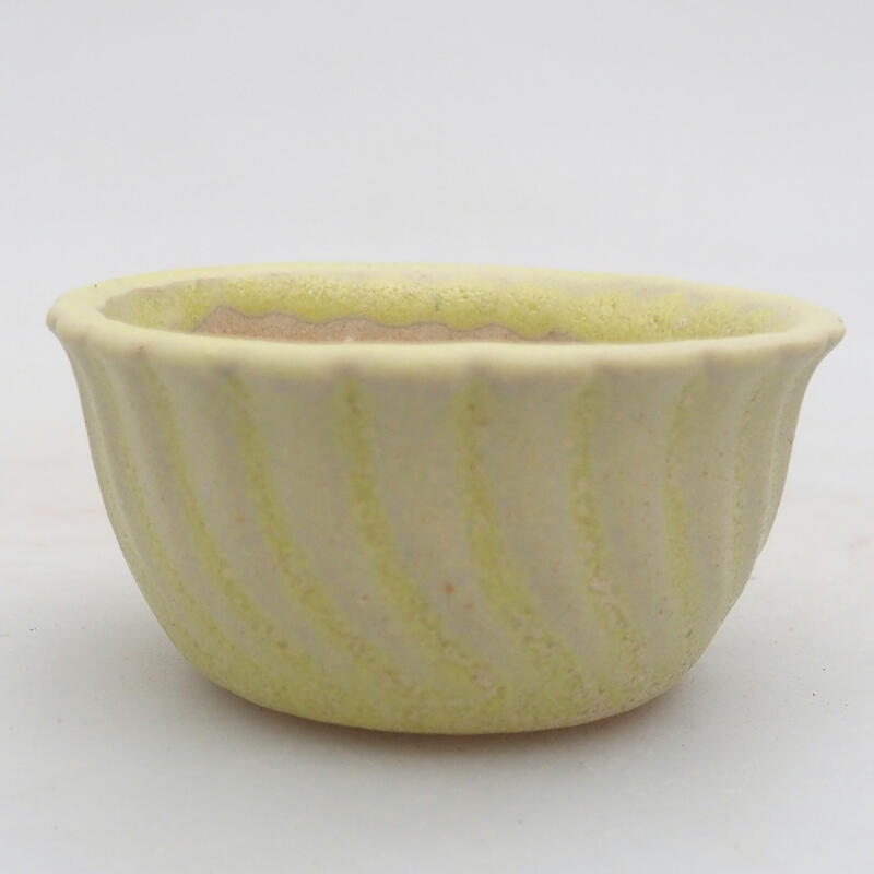 Mini bonsai 5,5 x 5,5 x 3 cm, verde