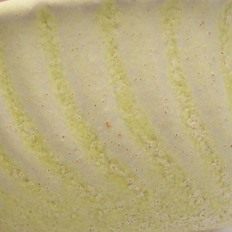 Mini bonsai 5,5 x 5,5 x 3 cm, verde