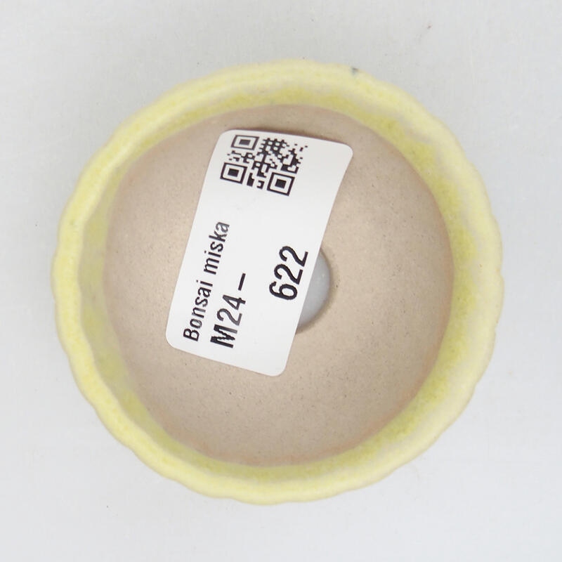 Mini bonsai 5,5 x 5,5 x 3 cm, verde