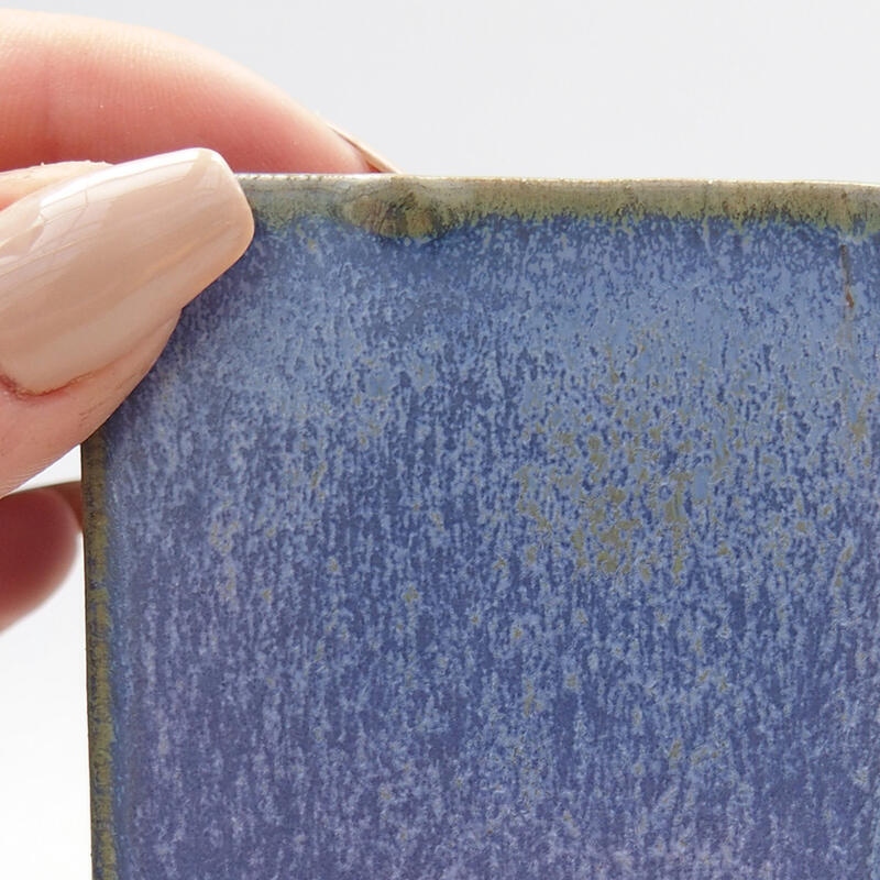 Mini bonsai 5,5 x 5,5 x 6,5 cm, colore blu