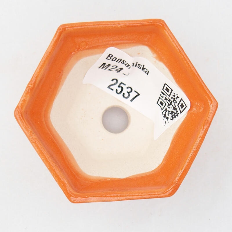 Ciotola per mini bonsai 5,5 x 5 x 3 cm, arancione