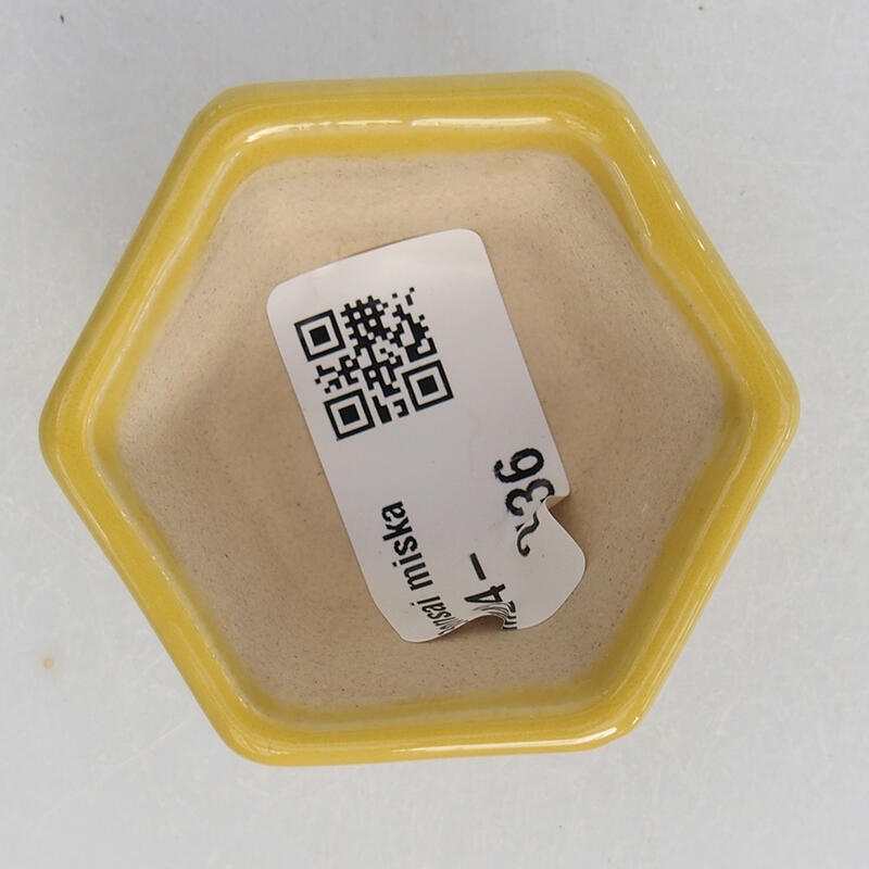 Mini bonsai 5,5 x 5 x 3 cm, giallo