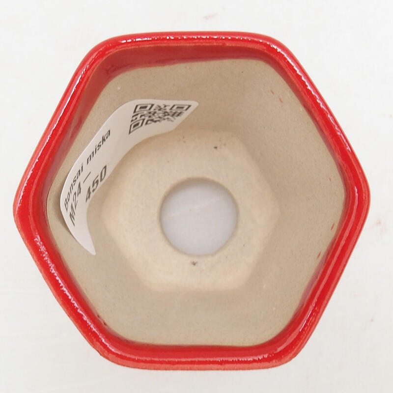 Mini bonsai 5,5 x 5 x 5 cm, colore rosso