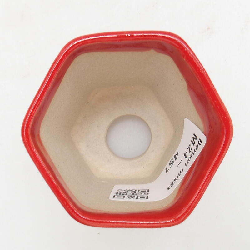 Mini bonsai 5,5 x 5 x 5 cm, colore rosso