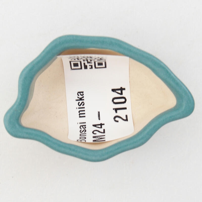 Mini bonsai 5 x 3,5 x 2 cm, colore blu