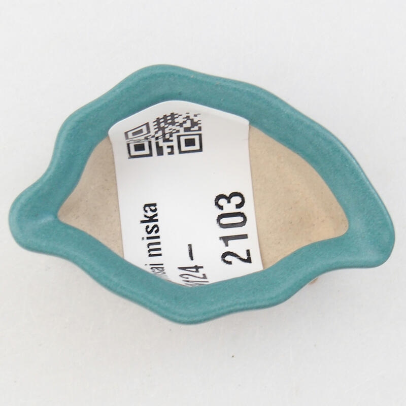 Mini bonsai 5 x 3,5 x 2 cm, colore blu