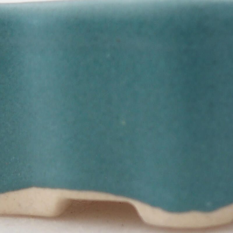 Mini bonsai 5 x 3,5 x 2 cm, colore blu