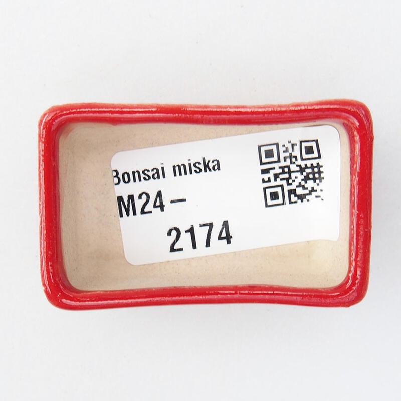 Mini bonsai 5 x 3 x 1,5 cm, colore rosso