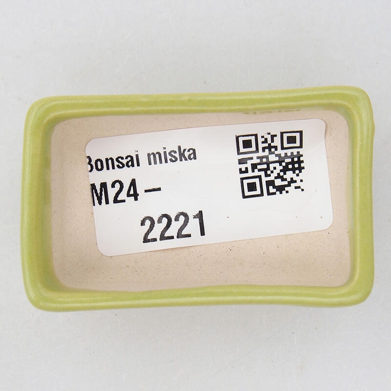 Mini bonsai 5 x 3 x 1,5 cm, verde