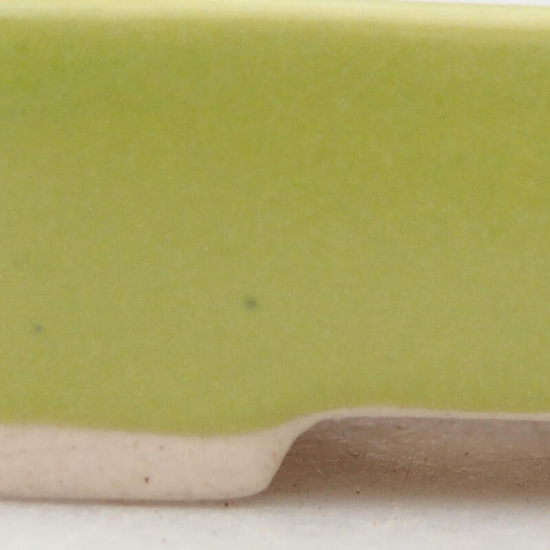 Mini bonsai 5 x 3 x 1,5 cm, verde